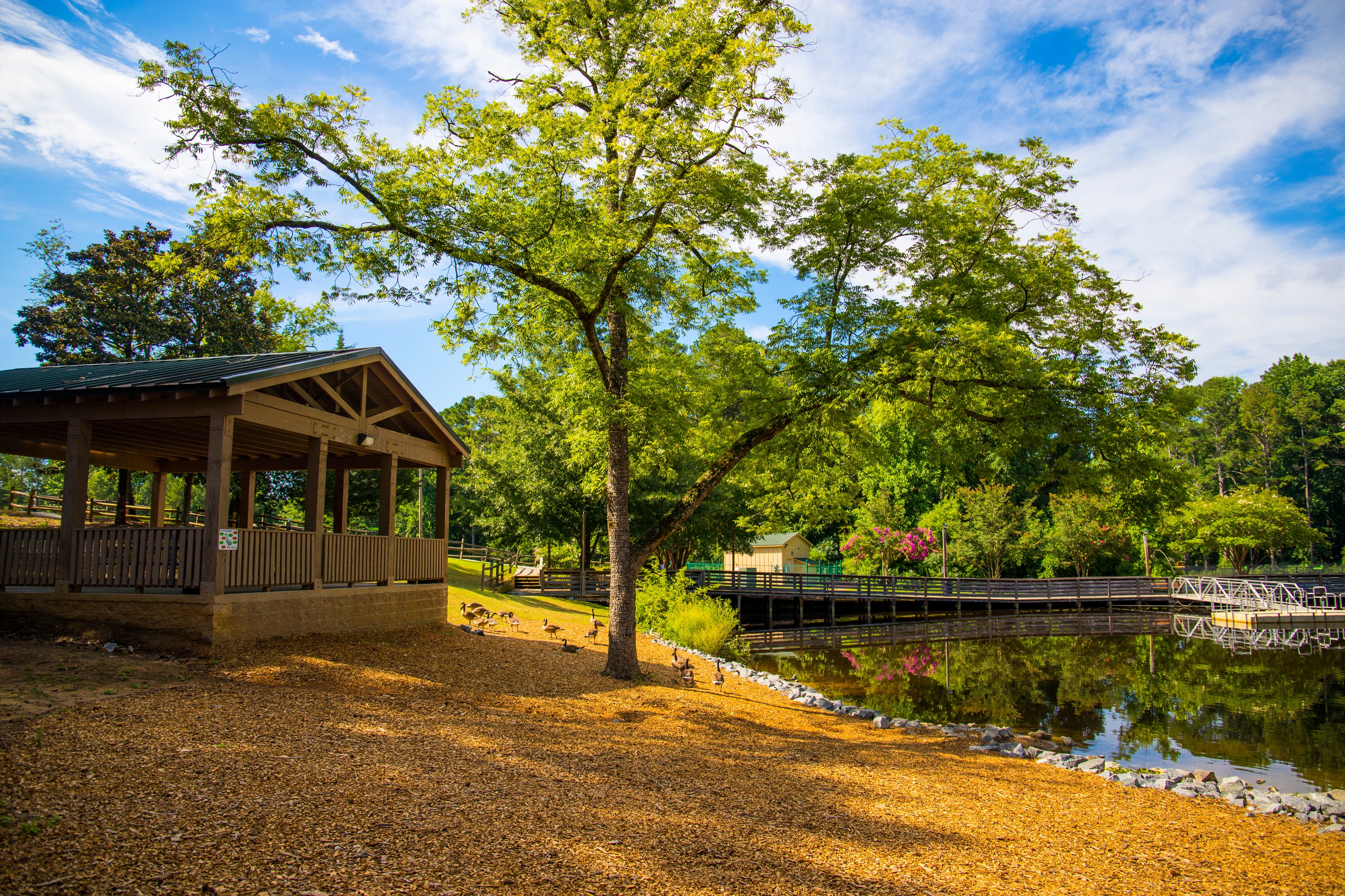 Benton House of Woodstock Featured Image